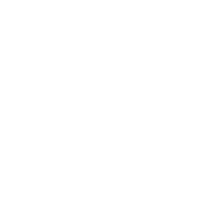Joshua-tree-national-park-the-secret-tours-white-logo